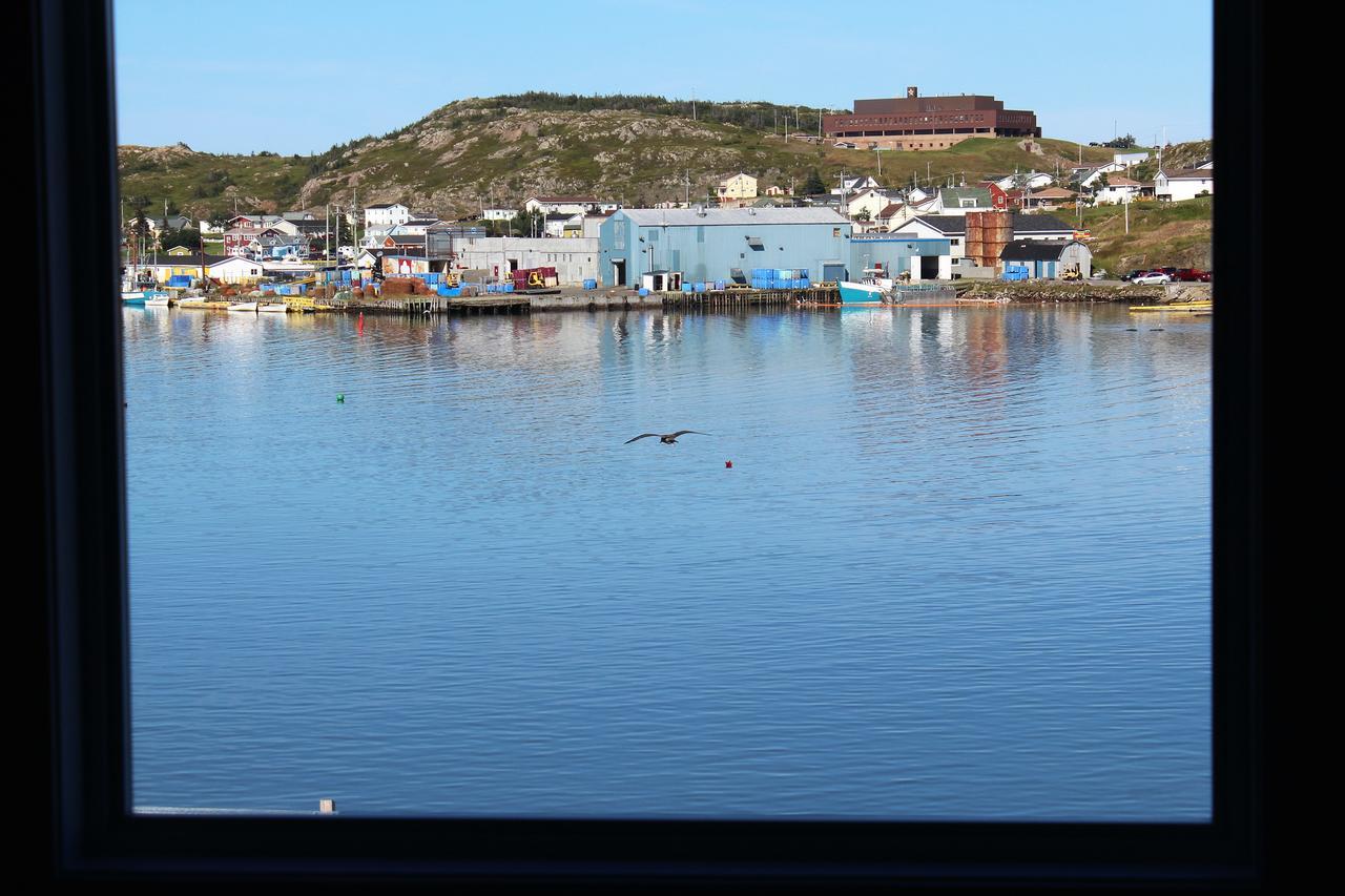 Twillingate & Beyond Inc. Hotel Kültér fotó